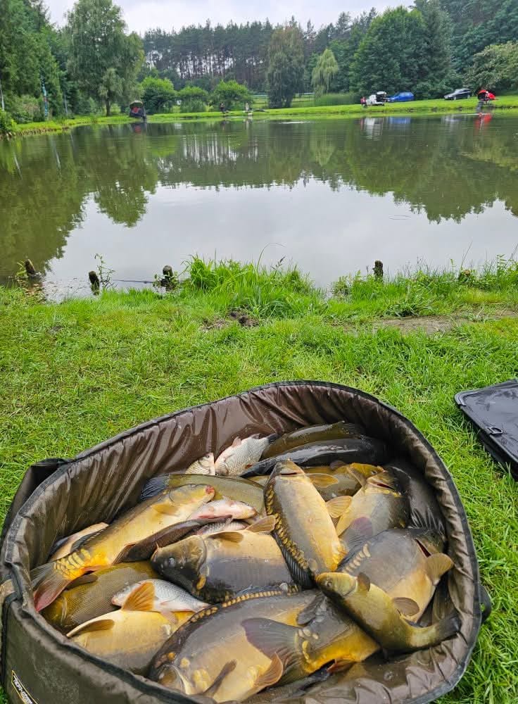 Sezon 2025 WhatsApp 84